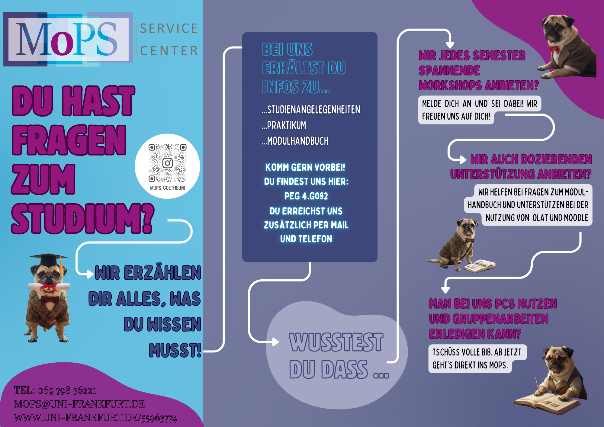 Flyer MoPS 2025