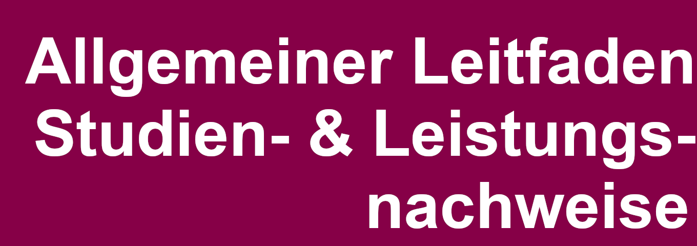 Struktur_Leitfaden